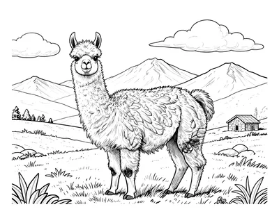 Dibujo para colorear de una llama realista pastando en una meseta andina con montañas nevadas, nubes y una pequeña cabaña de piedra al fondo.