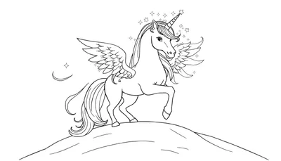 Placa de color de un unicornio alado con melena estrellada.