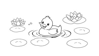 Un patito de dibujos animados feliz nadando en un estanque con nenúfares, diseño para colorear en blanco y negro, placa de color.