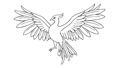 Placa de color de un fénix listo para volar, con alas desplegadas y una cresta en la cabeza.