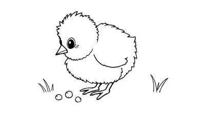 Placa de color de un pollito blanco con un pico afilado y un ojo redondo, picoteando semillas en la hierba.