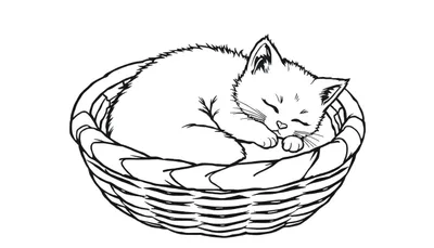 Placa de color de un gatito durmiendo en una cesta.
