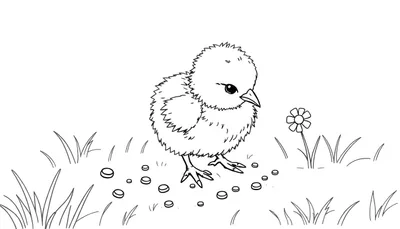 Placa de color de un pollito picoteando semillas.