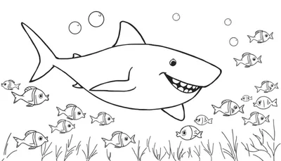 Placa de color con un tiburón amigable sonriendo rodeado de burbujas y peces.