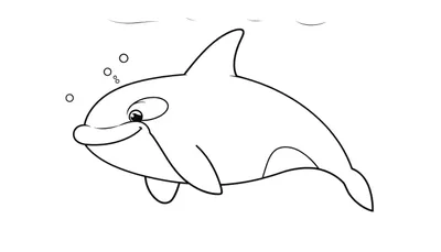 Orca sonriente para colorear, diseño de placa de color