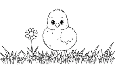Placa de color de un pollito tierno en la hierba.