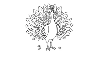 Una placa de color para colorear de un pavo real con la cola extendida y hojas debajo.