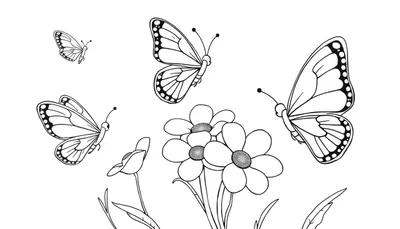 Una placa para colorear de mariposas y flores.