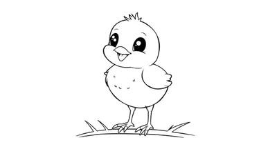 Pollito bebé para colorear en una rama, con espacio para añadirle color.