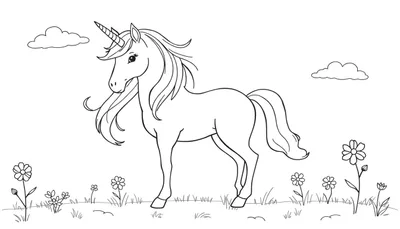 Un unicornio mágico esperando ser coloreado en una placa de color.