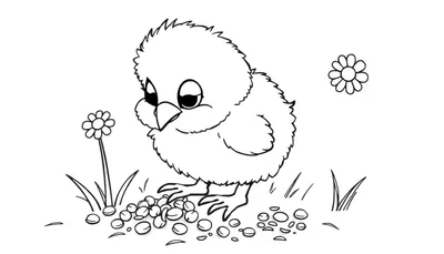 Un pollito lindo sobre una placa de color con semillas.