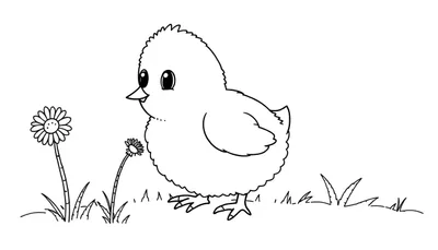 Un pollito juguetón en un campo de flores, listo para ser coloreado en una placa de color.