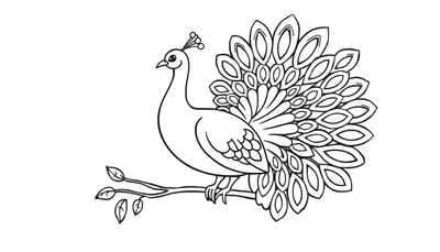 Placa de color para colorear de un pavo real con la cola abierta.