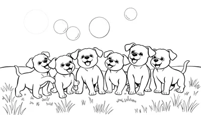 Placa de Color: Diversión de Cachorros con Burbujas