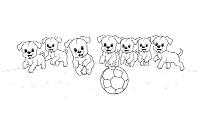 ¡Diversión Futbolística con la Placa de Color de los Cachorros!