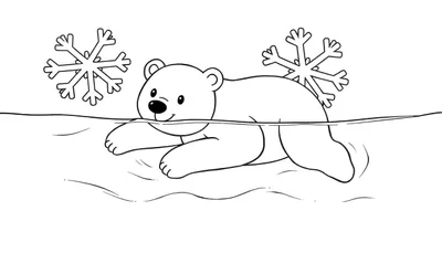 Aventura Invernal de la Placa de Color del Oso Polar