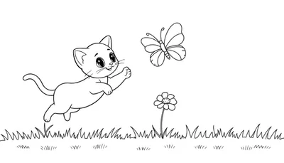 Placa de Color: ¡Gatito Jugando en el Jardín!