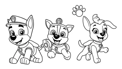 Placa de la Patrulla Canina con Chase, Marshall y Skye para colorear.