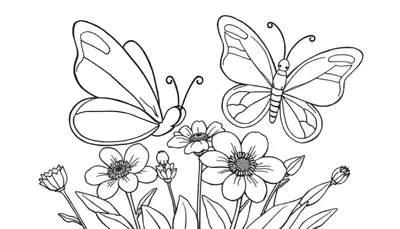 Placa de color con dos mariposas y flores.