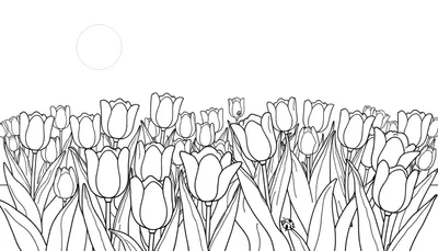 Placa de color de un campo de tulipanes en blanco y negro con un sol.