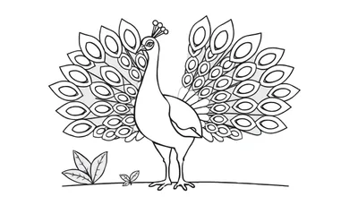 Dibujo para colorear de un pavo real orgulloso con su cola extendida, mostrando un patrón de placas de color.