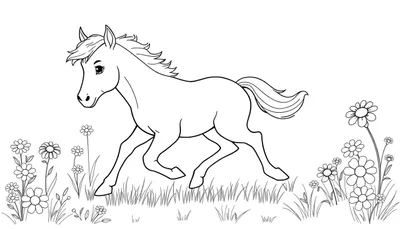 Placa de color de un caballo joven y alegre galopando entre flores de margarita.