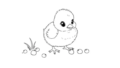 Un pollito con contornos negros picoteando bayas, listo para ser una placa de color.