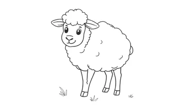 Una oveja dibujada a mano en blanco y negro sobre una placa de color, lista para ser coloreada.