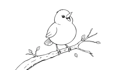 Un dibujo a blanco y negro de un pajarito con la boca abierta sobre una rama con hojas, listo para colorear. Placa de color.