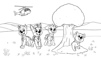Dibujo para colorear de la Patrulla Canina: Chase, Skye, Rubble y Marshall esperando aventuras bajo un helicóptero, con un gran árbol y colinas al fondo, todo listo para una placa de color.