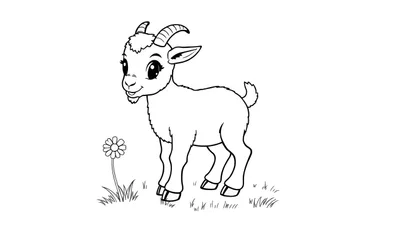 Una cabrita bebé sonriendo en un prado, lista para ser coloreada, como una placa de color.