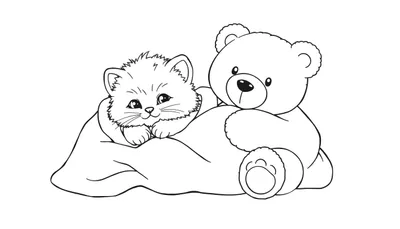 Placa de color con gatito y oso de peluche.