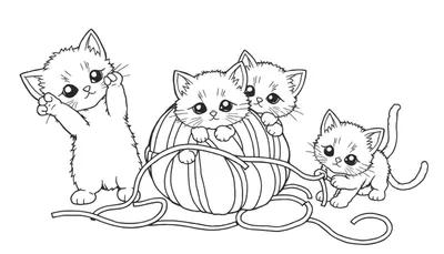 Placa de color con gatitos jugando con lana.