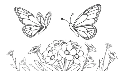 Placa de color de dos mariposas con alas detalladas revoloteando sobre flores sencillas.