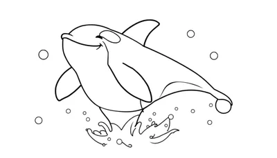 Placa de color de una orca sonriente saltando fuera del agua con burbujas.