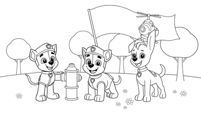 La Patrulla Canina lista para colorear, una placa de color con tres cachorros en un entorno natural.