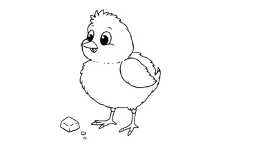 Dibujo lineal en blanco y negro de un pollito amigable picoteando una miga de pan, listo para ser coloreado.