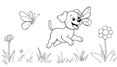 Un cachorro de dibujo lineal salta persiguiendo una mariposa en un campo de flores y hierba, ideal para una placa de color.