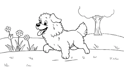 Bentley el perrito feliz corriendo, página para colorear, placa de color