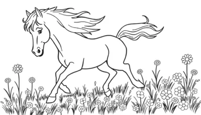 Placa de color de un caballo galopando en un campo de flores.