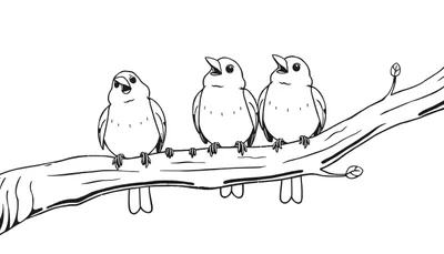 Tres pájaros en una rama, listos para la placa de color.