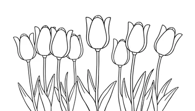 Placa de color de tulipanes alegres para colorear.