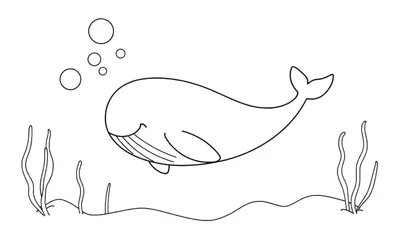 Placa de color de una ballena amigable nadando en el océano, con burbujas y algas.