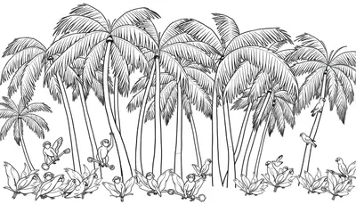 Placa de color de un paisaje tropical con cocoteros, monos y pájaros.