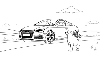 Placa de color de un coche Audi y un perro en un campo.