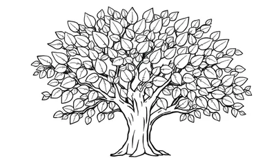 Un árbol amigable para colorear, con muchas hojas y ramas en blanco y negro para pintar.