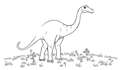Placa de color de un dibujo lineal de un diplodocus amigable en un campo de hierba y flores.