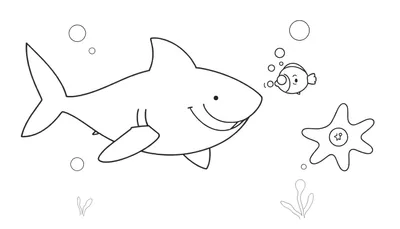 Dibujo en blanco y negro de un tiburón sonriendo a un pez, con una estrella de mar cerca y burbujas, como una placa de color.