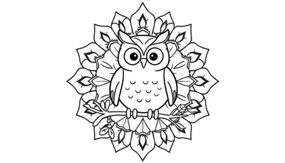 Una placa de color en blanco y negro de un búho amigable en un mandala floral.