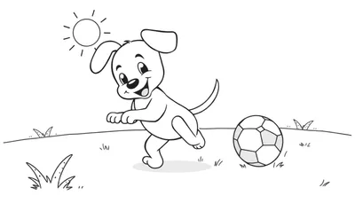 Placa de color: un cachorro alegre persiguiendo una pelota de fútbol en un día soleado.